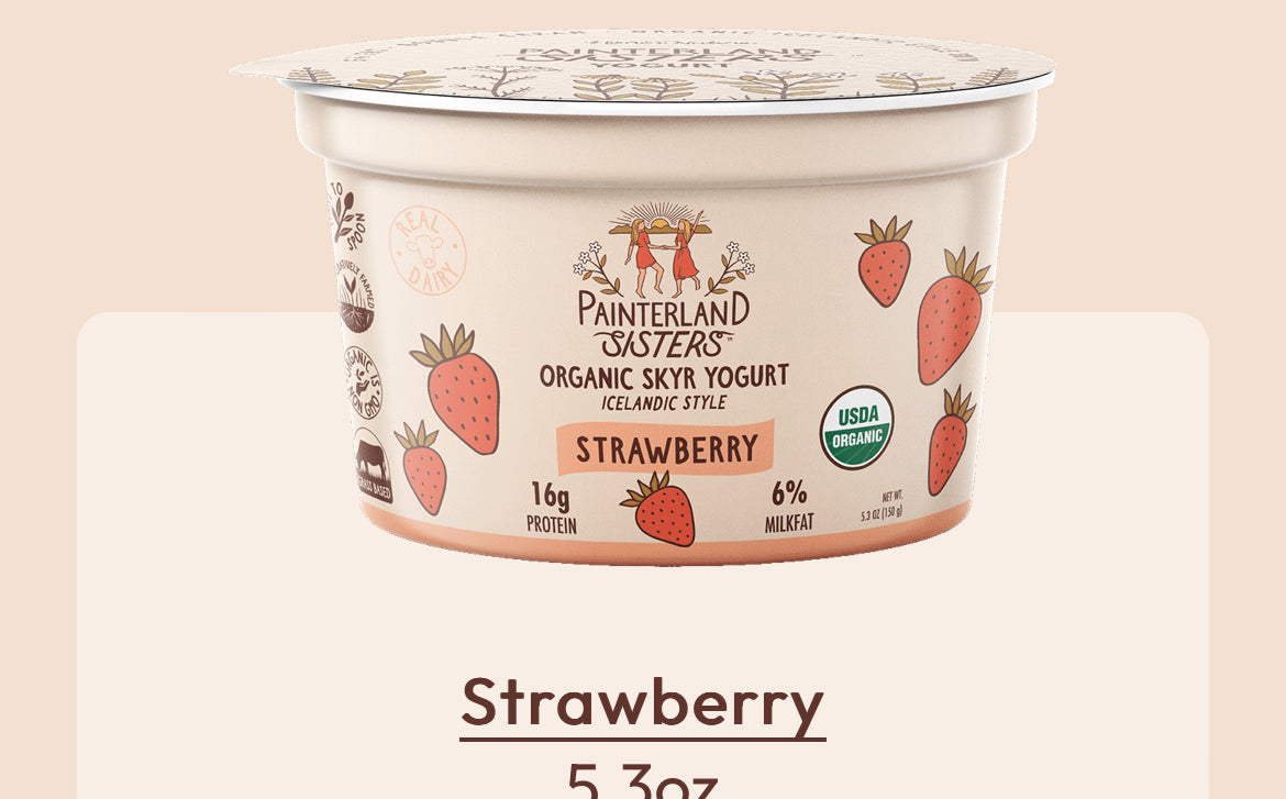 Painterland Sisters Skyr Yogurt