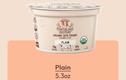 Painterland Sisters Skyr Yogurt