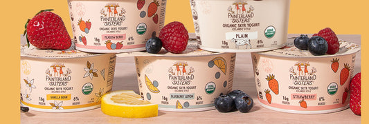 Painterland Sisters Skyr Yogurt